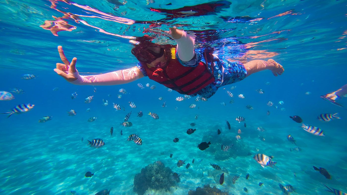 Snorkeling tour in Cancún from a private boat — Nauty 360