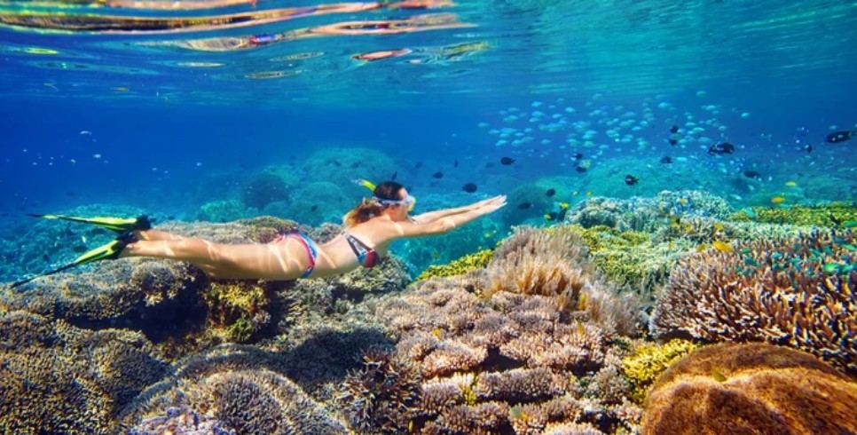 Snorkeling tour near Punta Cana, Dominican Republic